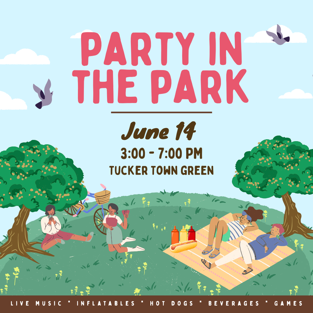 Party in the Park Digital Banner (1000 x 1000 px) (1)